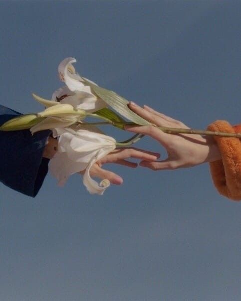 Amor de conto de fadas existe. Imagem: Duas mãos se tocando enquanto seguram uma flor branca